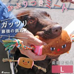 ポンポリース直営yahoo 店 気分は夏祭り 夏がもっと楽しくなる特集 イベント 季節用品 Yahoo ショッピング