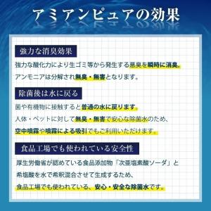 除菌 次亜塩素酸水 10L 次亜塩素酸 60p...の詳細画像2