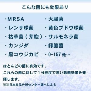 除菌 次亜塩素酸水 10L 次亜塩素酸 60p...の詳細画像3