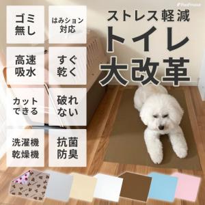 ポンポリース 7カラーから選べる3枚セット 洗...の詳細画像2