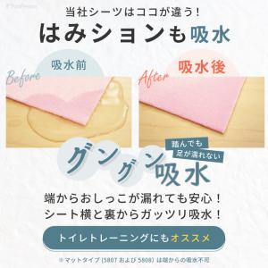 ポンポリース 7カラーから選べる3枚セット 洗...の詳細画像4