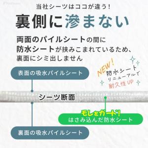 ポンポリース 7カラーから選べる3枚セット 洗...の詳細画像5
