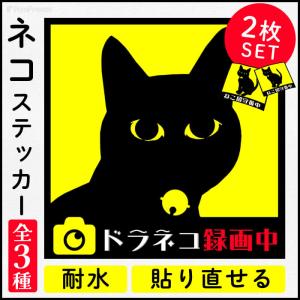 猫 ドライブレコーダー ステッカー 耐水 張り直しOK  ドラレコ  煽り運転 事故防止 安全運転 録画 防犯  選べる ねこ ステッカー 大小2枚セット ポンポリース｜pomp-ya