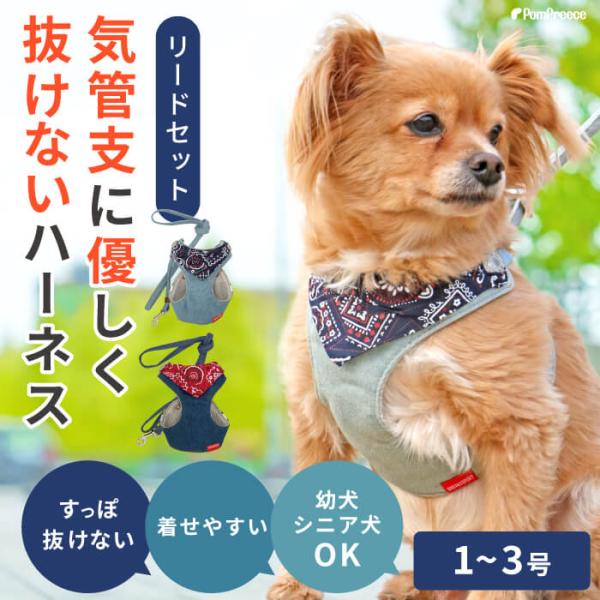 ハーネス 犬 抜けない 器官に優しい リード 胴輪 かわいい スーパーハーネス＆リードセット バンダ...