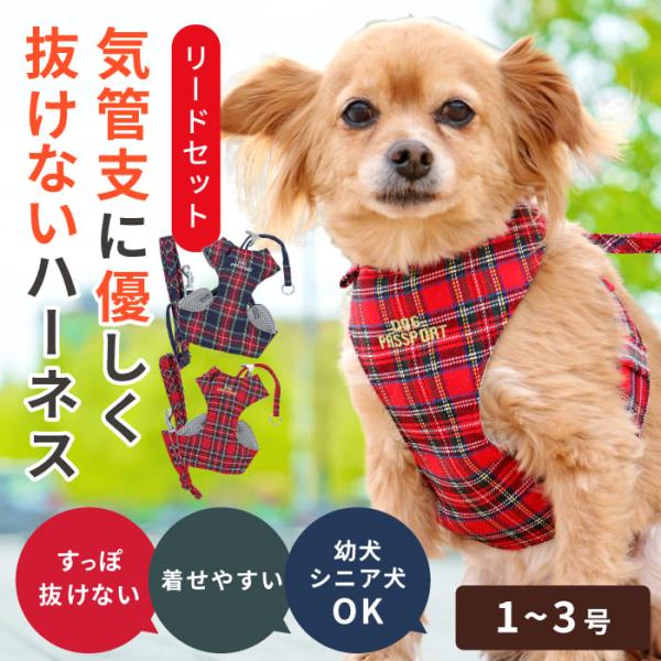 犬 ハーネス 小型犬 胴輪 リード 抜けない 後ずさり 負担が少ない 簡単装着 軽量 スーパーハーネ...