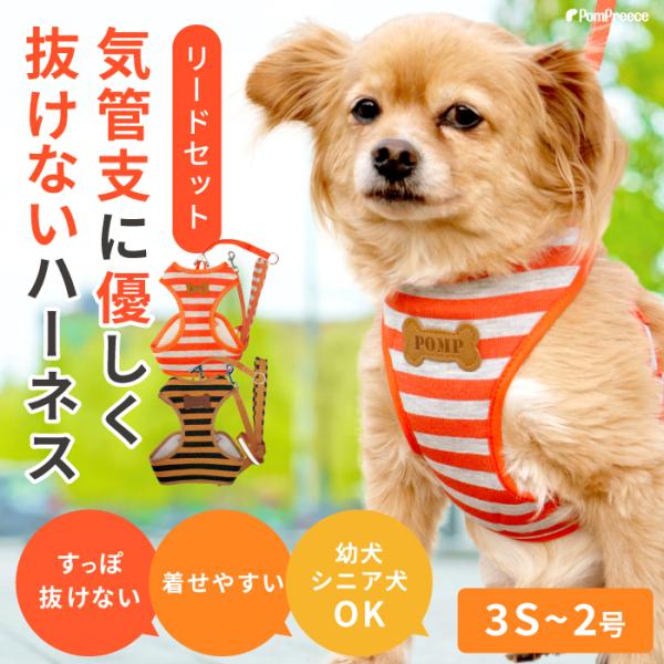 犬 ハーネス 小型犬 胴輪 リード 抜けない 後ずさり 負担が少ない 簡単装着 軽量 スーパーハーネ...