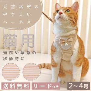 猫のハーネス 猫 猫用ハーネス リード付 ペット ハーネス 猫具 胴輪 散歩 抜けない 猫用スーパーハーネス＆リード フェアオーガニック｜pomp-ya