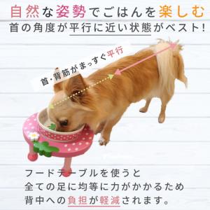 キュート かわいい ペット 食器台 フードボウ...の詳細画像3