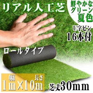 リアル人工芝 ロールタイプ 1m×10m 芝丈3...の商品画像