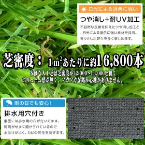 リアル人工芝 ロールタイプ 1m×10m 芝丈...の詳細画像3