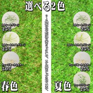 リアル人工芝 ロールタイプ 1m×10m 芝丈...の詳細画像4