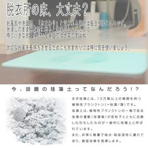 珪藻土バスマット 40cm 珪藻土 バスマット...の詳細画像1