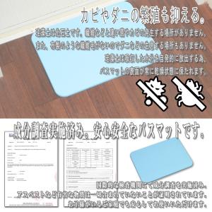 珪藻土バスマット 40cm 珪藻土 バスマット...の詳細画像3