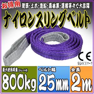 ナイロンスリングベルト 2m 幅25mm 使用荷重800kg 0.8t 吊り 荷締 吊上げ 吊荷 玉掛け 荷物 牽引 ロープ 物流 運搬 流通 車  HRS008P020｜pond