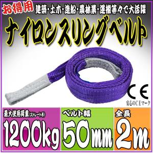 ナイロンスリングベルト 2m 幅50mm 使用荷重1200kg 1.2t 吊り 荷締 吊上げ 吊荷 玉掛け 荷物 牽引 ロープ 物流 運搬 流通 車  HRS0120P020｜pond