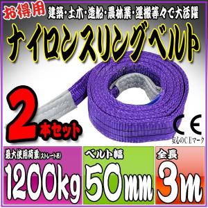 2本セット ナイロンスリングベルト 3m 幅50mm 使用荷重1200kg 1.2t 吊り 荷締 吊上げ 吊荷 玉掛け 荷物 牽引 ロープ 物流 運搬 流通 車  HRS0120P030SET2｜pond