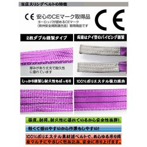 10本セット ナイロンスリングベルト 4m 幅...の詳細画像3