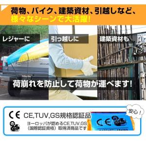 ラチェット式 ラッシングベルト 耐荷重5t 長...の詳細画像1