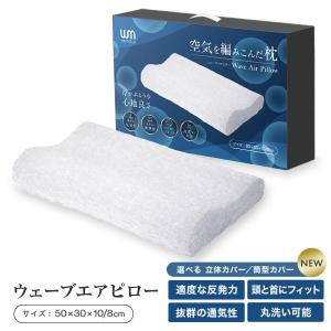 フランスベッド（FRANCEBED） ズカンピロー 枕 ZUKAN PILLOW 蒸れない