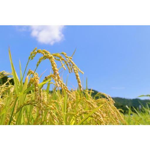 玄米 9.6kg(4.8kg×2袋) 減農薬・有機肥料使用 コシヒカリ 令和7年産 新米 一等米 長...