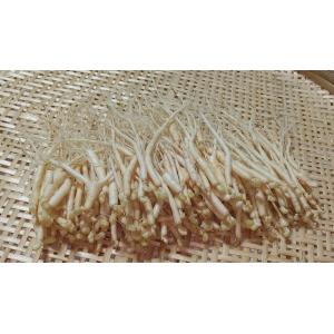 1000円OFF※１  長野県産 細物 ２年生 減農薬  約100ｇ