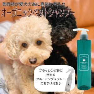 2本セット 】 ドクターデンタルワン Dr.DentalWan 30g サンテミナ