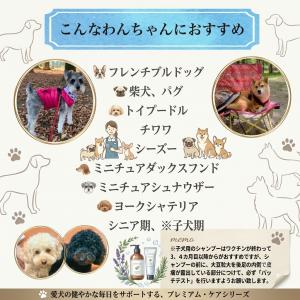 ペットシャンプー 250ml2本セット グルー...の詳細画像4