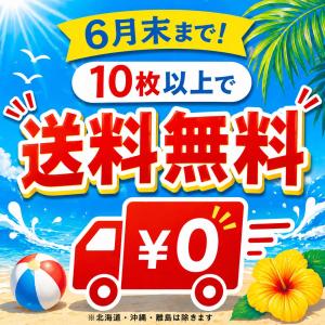 背番号 前面 背面 名入れ 3桁可 Tシャツ ...の詳細画像2