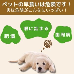 犬 食器 早食い防止 マット 餌入れ 餌 食器...の詳細画像1
