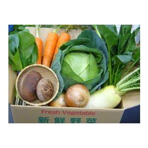 農業公園ぽんぽこ村 Yahoo!店 - Yahoo!ショッピング