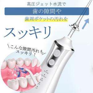 口腔洗浄器 ジェットウォッシャー 口腔洗浄機 ...の詳細画像3