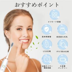 電動歯ブラシ 音波歯ブラシ usb充電式 替え...の詳細画像3