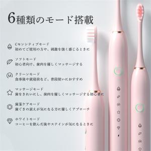 電動歯ブラシ 音波歯ブラシ usb充電式 替え...の詳細画像4