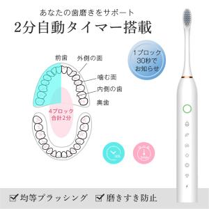 電動歯ブラシ 音波歯ブラシ usb充電式 替え...の詳細画像5