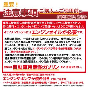 【期間限定ポイント3倍】【期間限定クーポン発行...の詳細画像1