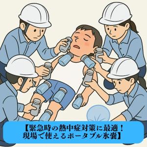 氷嚢 持ち運び 結露しない おすすめ スポーツ...の詳細画像1
