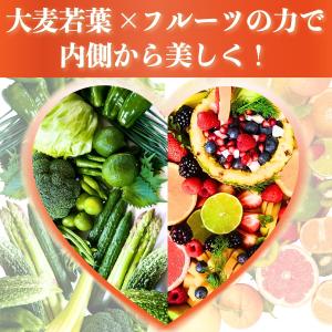 フルーツ青汁 青汁 大麦若葉 植物発酵エキス8...の詳細画像4