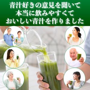 青汁 粉末 国産 乳酸菌 酵素青汁 大麦若葉 ...の詳細画像2