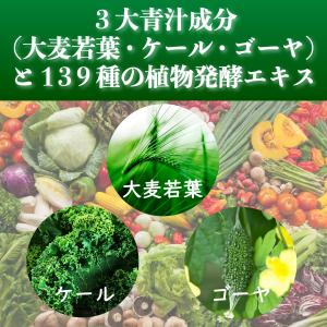 青汁 粉末 国産 乳酸菌 酵素青汁 大麦若葉 ...の詳細画像4