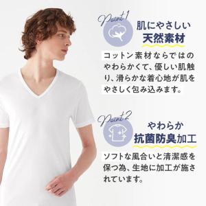グンゼ インナーシャツ やわらか肌着 綿100...の詳細画像2