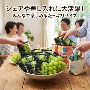 こんにゃくゼリー シャインマスカット 50袋 ...の詳細画像2