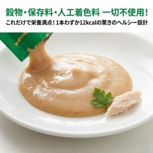 ちゅーる 犬 160本 いなば 5種 チャオ ...の詳細画像2