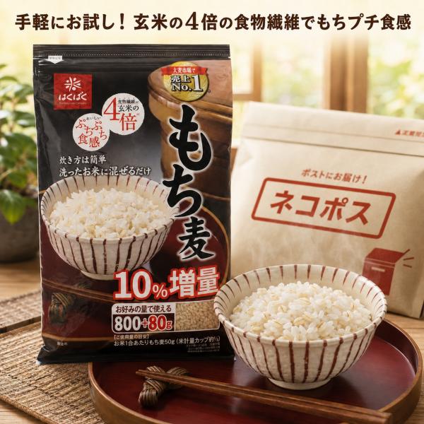 はくばく もち麦 800g 1袋 お試し 大麦 食物繊維 玄米の4倍 ぷちぷち食感 ダイエット 炊飯...