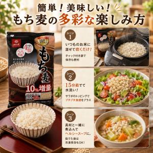 はくばく もち麦 800g 1袋 お試し 大麦...の詳細画像3