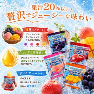 フルーツミックス シャーベット 選べる 20個...の詳細画像2