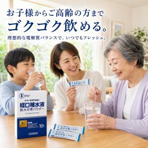 経口補水液 パウダー 90包 五洲薬品 経口補...の詳細画像4
