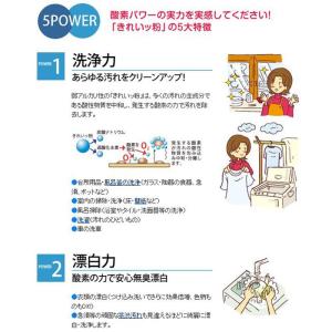 きれいっ粉 1kg 6個セット 過炭酸ナトリウ...の詳細画像3