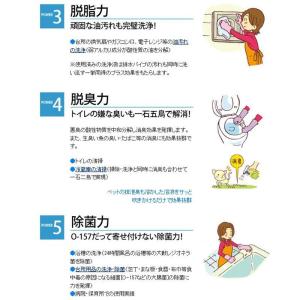 きれいっ粉 1kg 過炭酸ナトリウム 酸素系 ...の詳細画像4