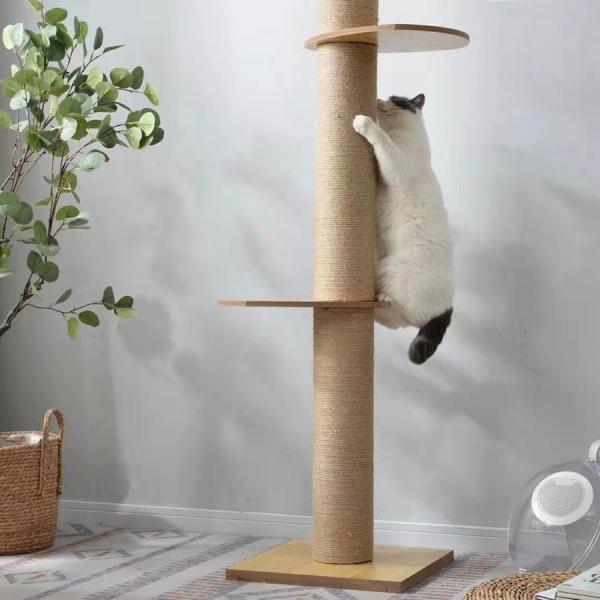 猫タワー キャットタワー 突っ張り 木製 省スペース  爪とぎ 全麻縄巻き 猫ツリー キャットランド...
