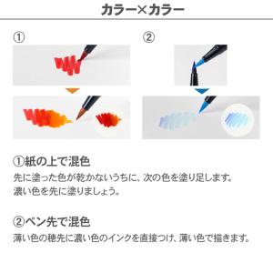 ABT 水性マーカー デュアルブラッシュ 10...の詳細画像3